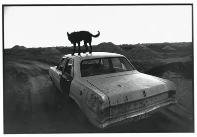 Вим Вендерс. Париж, Техас, Написано на Западе — Фотография — Carnets de traverse