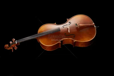 Скрипка инструмент Виолончель Натюрморт съемки продуктов изображение_Фото  номер 500990499_JPG Формат изображения_ru.lovepik.com