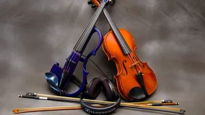 Обои скрипка, струнный инструмент, виолончель, альт, Смычковые музыкальные  инструменты WQHD, QHD, 16:9 бесплатно, заставка 2560x1440 - скачать  картинки и фото