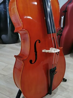 Купить Виолончель скрипача 4/4 №700 Концертный ХИТ!: отзывы, фото и  характеристики на Aredi.ru