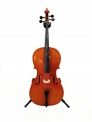 Купить Виолончель скрипача 4/4 №700 Концертный ХИТ!: отзывы, фото и  характеристики на Aredi.ru