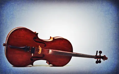 Виолончель | Музыкальные классические инструменты