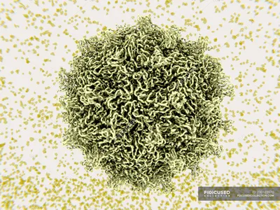 Частица вируса Коксаки, медицинская иллюстрация . — Вирион, возбудитель -  Stock Photo | #230183970
