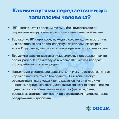 ВПЧ: как передается, как не заразить партнера папилломавирусом