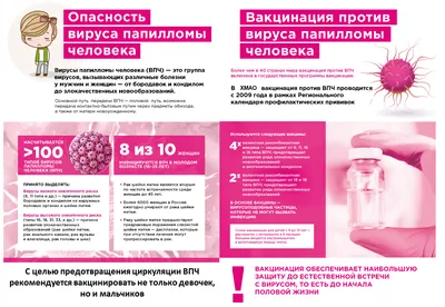 Ханты-Мансийск | В Югре проводится иммунизация детей против  папилломовирусной инфекции - БезФормата