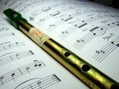Вистл – народная ирландская флейта. История, основы игры | Музыкальный класс