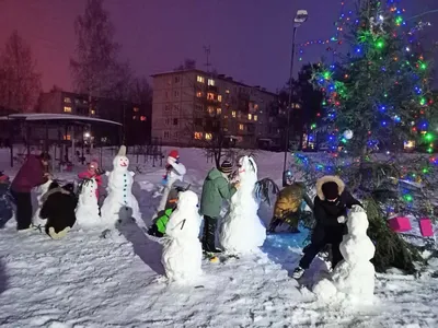 В Бологовском районе отметили день рождения Снеговика | официальный сайт  «Тверские ведомости»