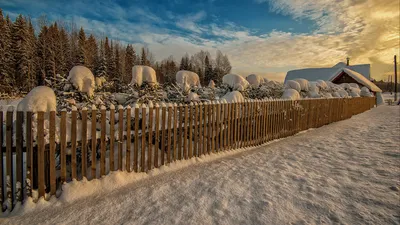 Сказочная зима от фотографа Владимира Чуприкова: masterok — LiveJournal -  Page 2