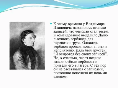 Бердская верблюдица Зара боится машин и любит карамельки | Свидетель