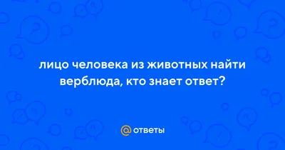 К двухсотлетию со дня рождения Владимира Ивановича Даля | Журнал Грамоты