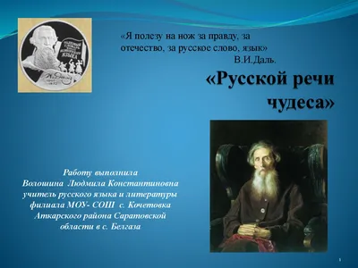 Бердская верблюдица Зара боится машин и любит карамельки | Свидетель