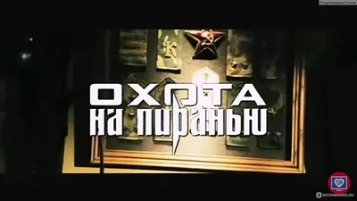 Oхота на пиранью (2006, фильм) - «Убойный приключенческий боевик с  классными актерами и шикарной музыкой 💣 Дуэт Машков-Миронов великолепен! »  | отзывы