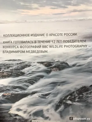 Владимир Медведев – раскрывает принципы финансового планирования