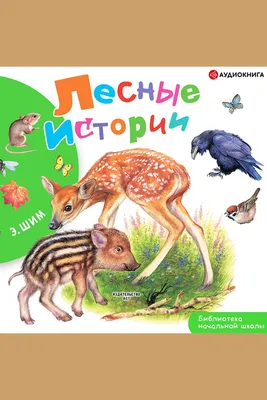 Лесные истории, автор: Эдуард Шим – Аудиокнига | Scribd