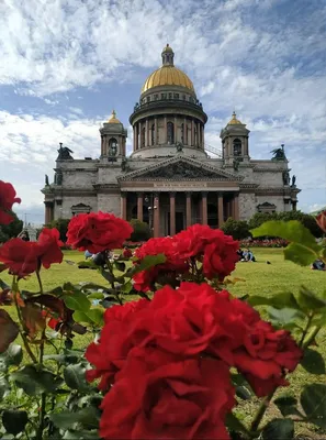 Санкт Петербург | Турист, Фотографии, Санкт петербург