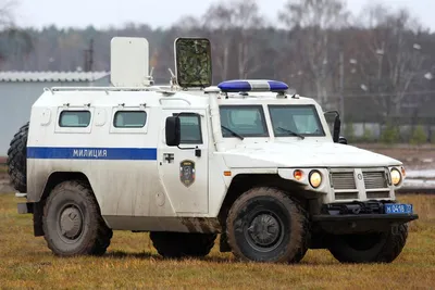 Подарок Владимира Жириновского — военный внедорожник «Тигр» — добрался до  пророссийских активистов в Луганске - Газета.Ru