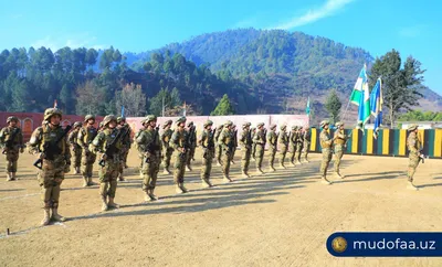 В Индии стартовали совместные узбекско-индийские военные учения