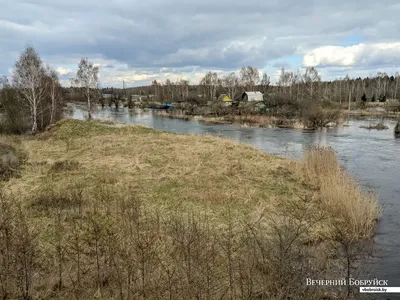 Вышедшая из берегов река Волчанка затопила дачные участки. Фотофакт |  bobruisk.ru
