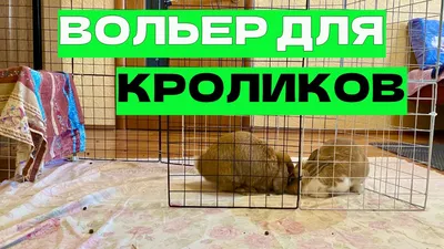 Клетка для кроликов с маточником деревянная - интернет магазин Подворье