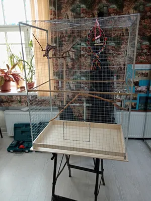 Делаем клетку вольер для попугаев (не отличишь от заводской). How to make  your own bird cage. - YouTube