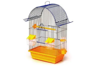 Широкий вольер WILMA LARGE WOODEN AVIARY для канареек, попугаев и мелких  попугаев 131,5 x 67 x h 153 cm купить 🐾 BiZOOn