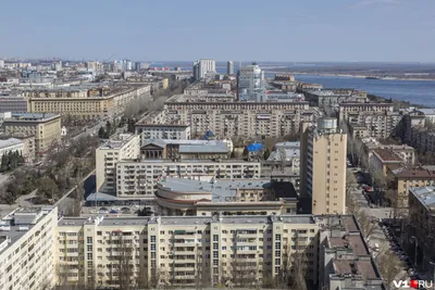 Американец, студент и журналистка поспорили про жизнь в Волгограде 5  сентября 2022 - 5 сентября 2022 - v1.ru