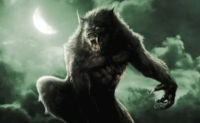 оборотни волки волк оборотень фото Photo-Find.ru #yandeximages | Werewolf,  Real werewolf, Vampires and werewolves