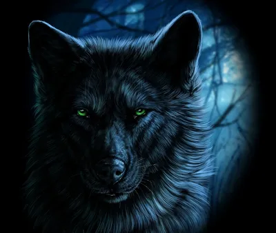 Волк с голубыми глазами, расположенными по бокам. | Премиум Фото