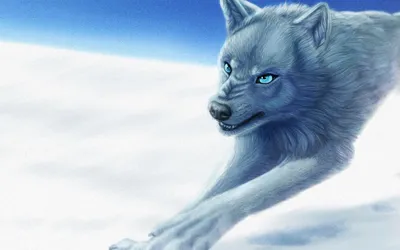 Волк с голубыми глазами стоит на снегу. | Премиум Фото