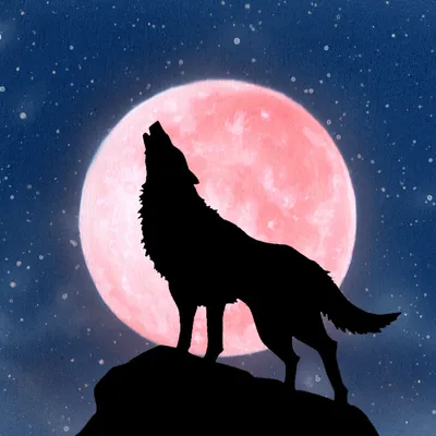 Фото Волк на фоне полной розовой луны