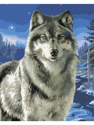 Картина по номерам-Волк в заполярье ВанГогВоМне 8645572 купить за 976 ₽ в  интернет-магазине Wildberries