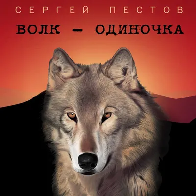 Pin by Волк - одиночка on Волки | Wolf wallpaper, Animal posters, Moon  tapestry