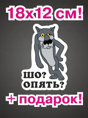 Шо, опять?». В этом году исполняется 40 лет мультфильму «Жил-был пёс». Мы  все смотрели одни и те же мультики, наши - советские | Степан  Корольков~Хранитель маяка | Дзен