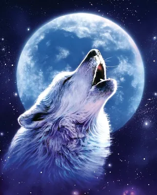 Волка воющего на луну фото