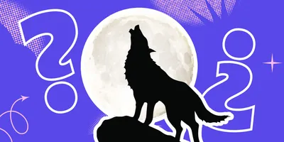 How to Draw a Wolf Howling at the Moon (Ehedov Elnur) - YouTube