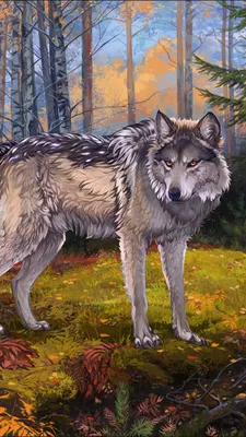 Обои волк, живая природа, Псовые, волчьей собаки сарлоса, волкодав на  телефон Android, 1080x1920 картинки и фото бесплатно