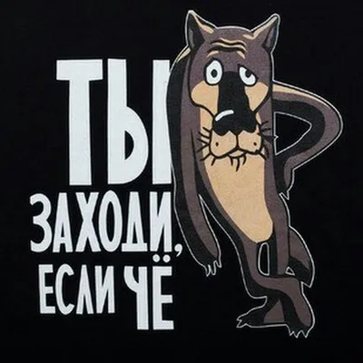 Футболка из хлопка с принтом волков, цвет: темно-серый купить в  интернет-магазине ТВОЕ, арт.96862