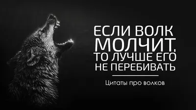 Пацаны, запоминаем цитаты Питерского волка из свежего эпизода Биги! Ауф! |  Instagram