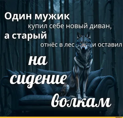 Садыр Жапаров запостил в Instagram цитату про одиночество (с картинкой волка )