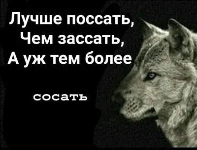 цитаты волка / смешные картинки и другие приколы: комиксы, гиф анимация,  видео, лучший интеллектуальный юмор.