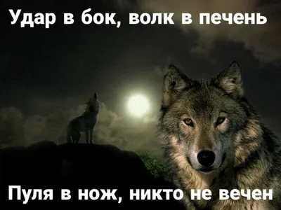 Волк прыгает через забор, пацанские …» — создано в Шедевруме