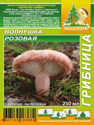 Грибы Волнушка розовая Планета Садовод 26814988 купить в интернет-магазине  Wildberries