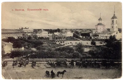 Вологда (город)
