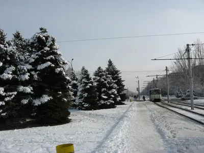 Фото Площадь Карбышева, Волжский, зима в городе Волжский