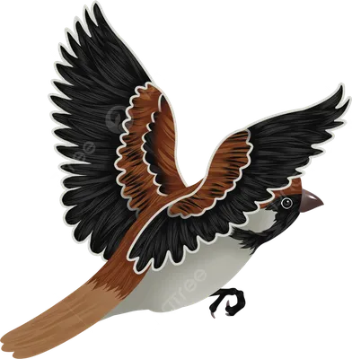 Летающий воробей картинки PNG , воробей клипарт, летит воробей, коричневый  воробей PNG картинки и пнг PSD рисунок для бесплатной загрузки