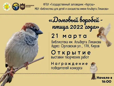Домовый воробей — птица 2022» — Заповедник «Нургуш»