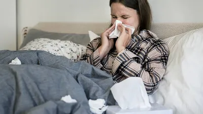 Иммунолог Жемчугов рассказал, к каким заболеваниям может привести свиной  грипп