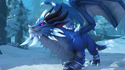 Синий дракон вов - 76 фото
