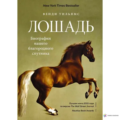 Казаки, кони и броневик на воловьей тяге: самый успешный рейд белых | Пикабу