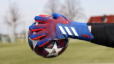 Вратарские перчатки Adidas Predator GL MTC FS 340 HN3340 купить недорого в  Киеве, Днепре, Львове